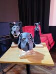 Drei Figurenköpfe aus dem Figurentheaterstück "Der schwarze Hund" bei Kurzfilm-Premiere "Der schwarze Hund im Puschkino Halle, #mentalhealthart