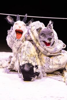 Szenenfoto "Mikas Seelenzirkus", aus einer schwarz-weißen Decke werden drei Tierköpfe sichtbar; Foto: Julia Fenske